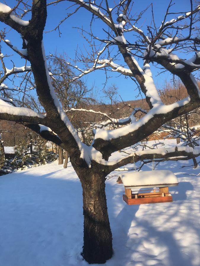 Bell House Villa Bukkzserc Rom bilde